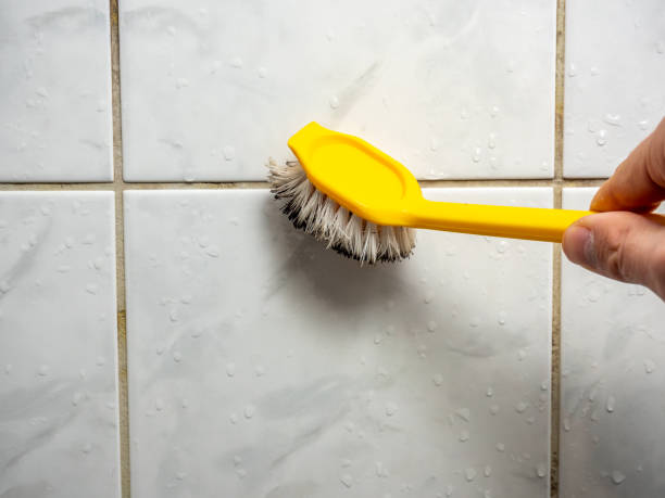 Best Office Mold Removal Services  in Brookfield, WI